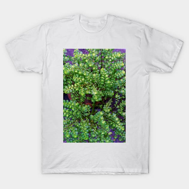 Green Leaf Plant T-Shirt by likbatonboot